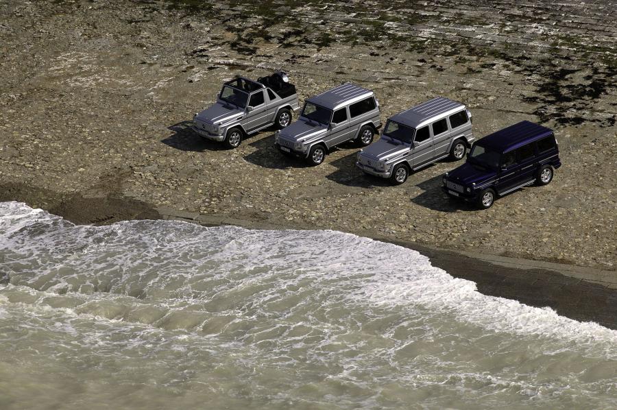  Mercedes-Benz G-Class 1990 года  (фото 82 из 260)